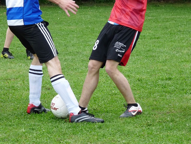 的职业生涯 的职业生涯