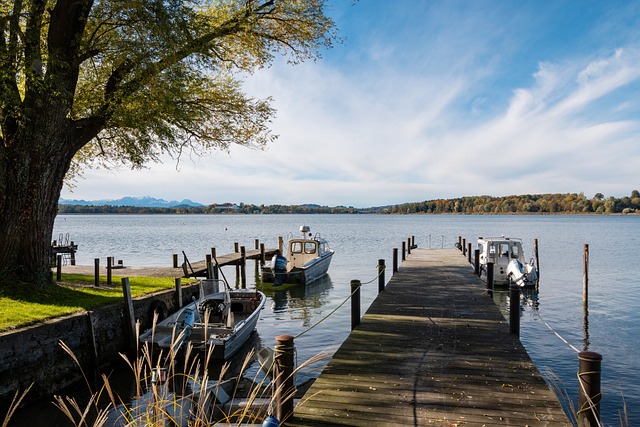 这种全能型 这种全能型