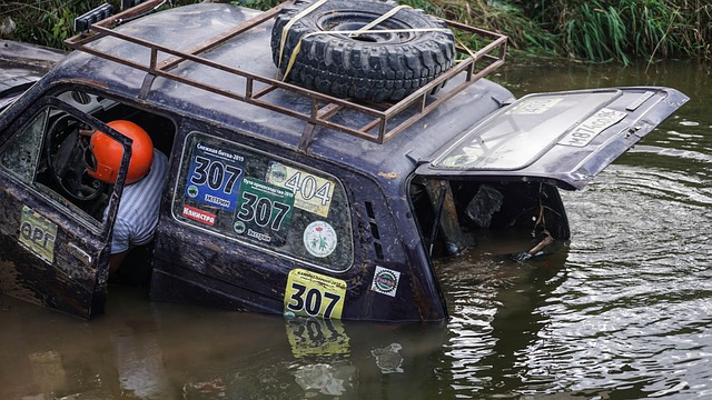 许多成功的 许多成功的