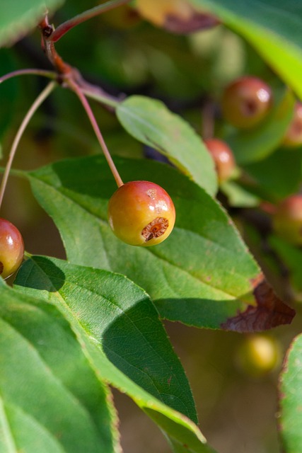 和认可度 和认可度