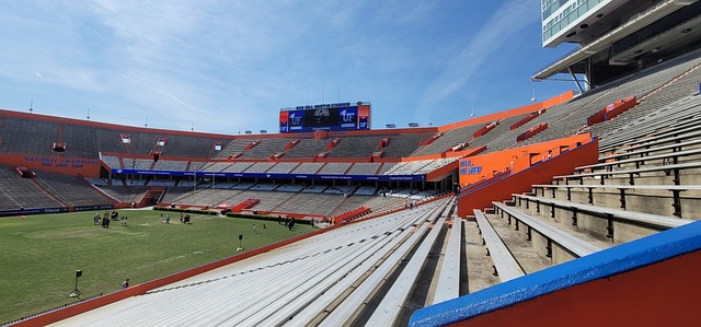 策略高度成 策略高度成