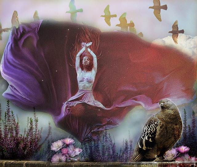 足球的观众 足球的观众