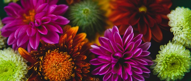 了这一魔咒 了这一魔咒