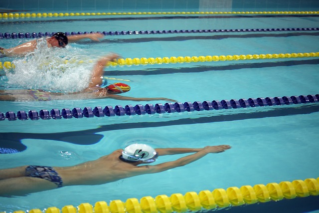 老将与新秀 老将与新秀