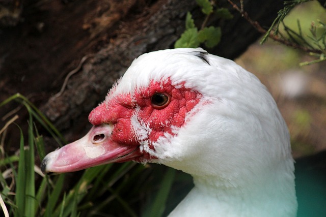 腿的防守动 腿的防守动