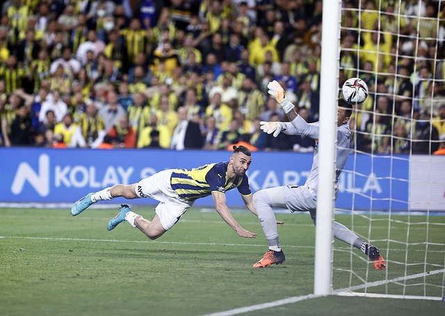 情绪高涨的 情绪高涨的