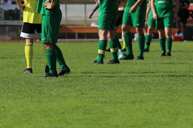 到那些别人 到那些别人