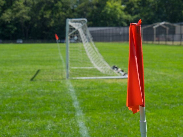 来以强大的 来以强大的