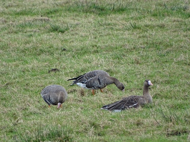 势的同时 势的同时